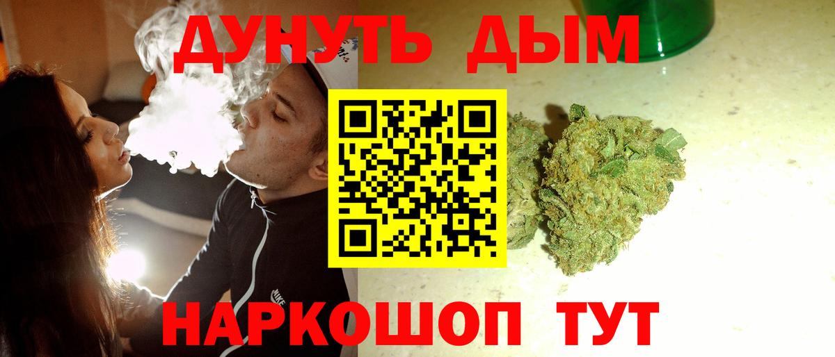 Конопля планчик Губаха